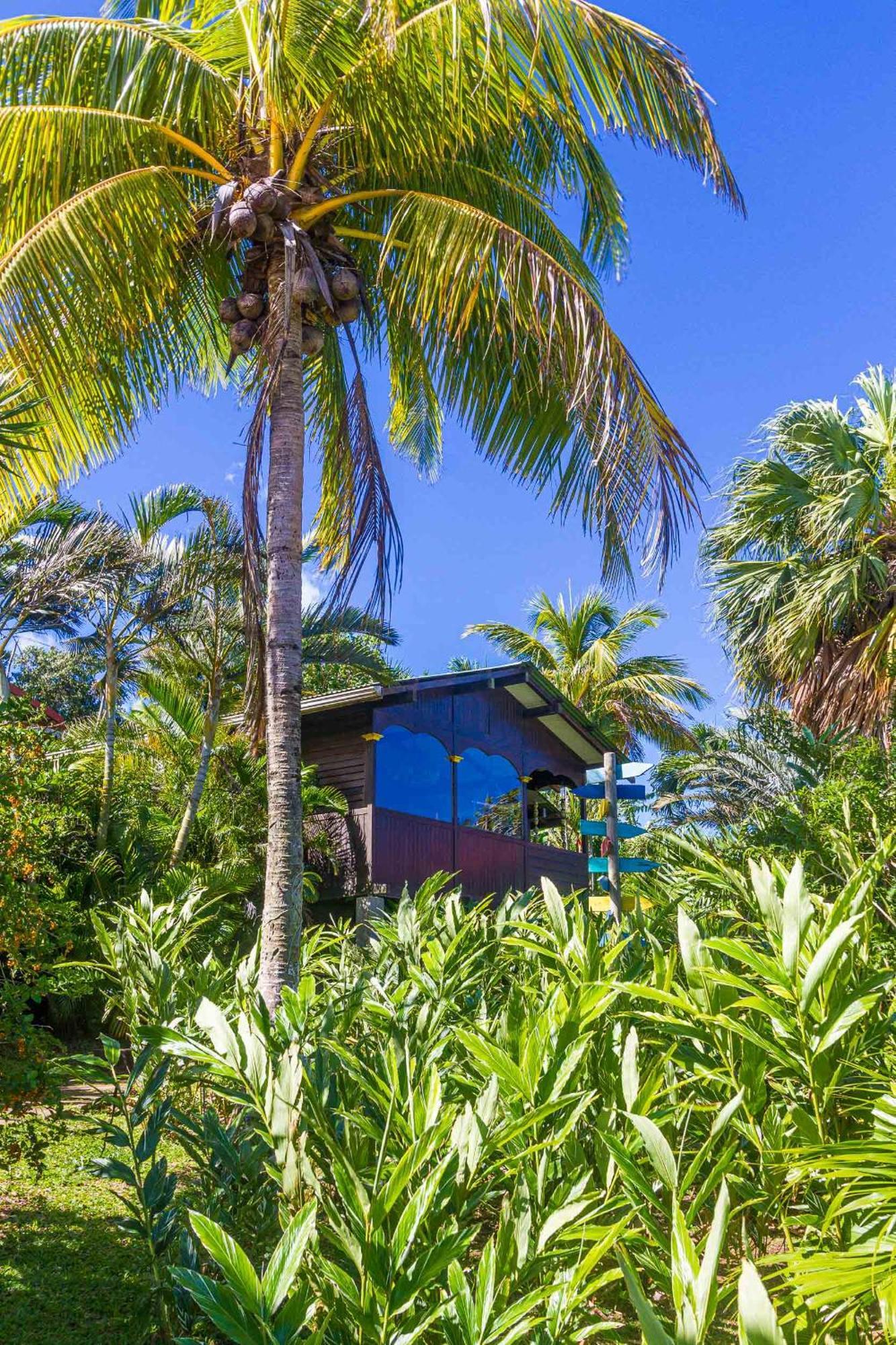 Piton Bungalows Ecolodges ديساي المظهر الخارجي الصورة