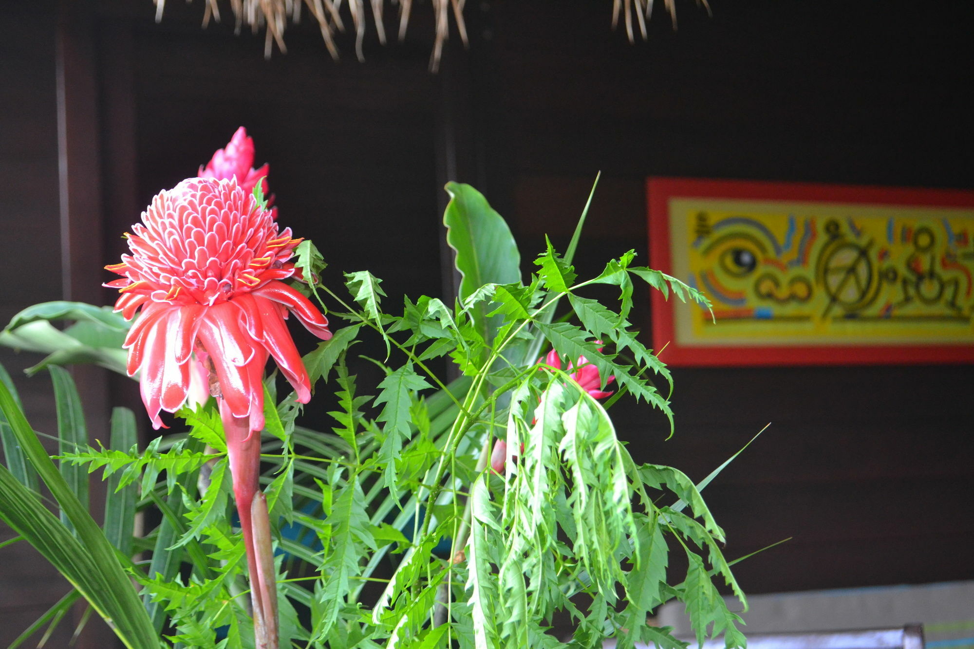 Piton Bungalows Ecolodges ديساي المظهر الخارجي الصورة
