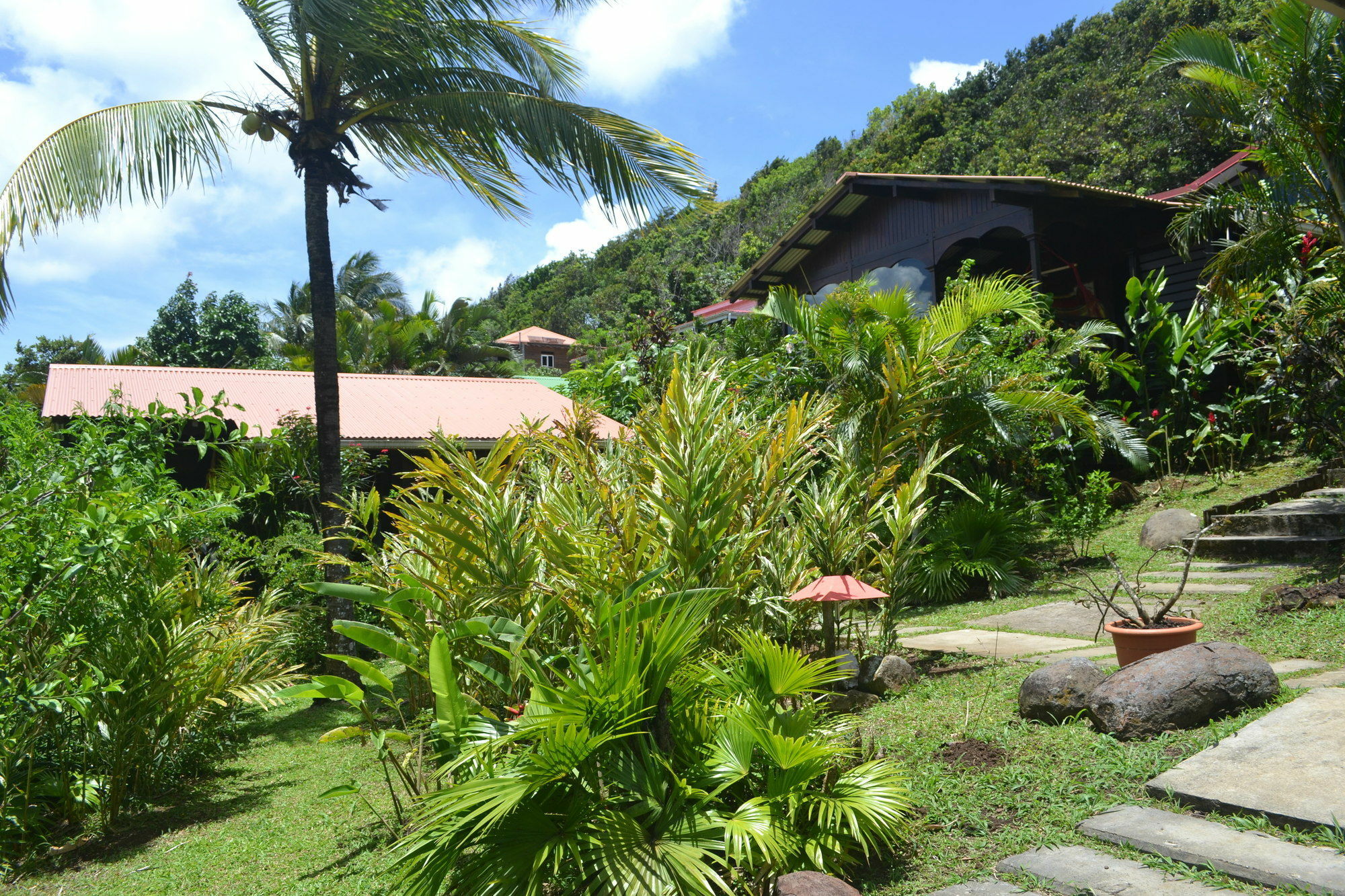 Piton Bungalows Ecolodges ديساي المظهر الخارجي الصورة